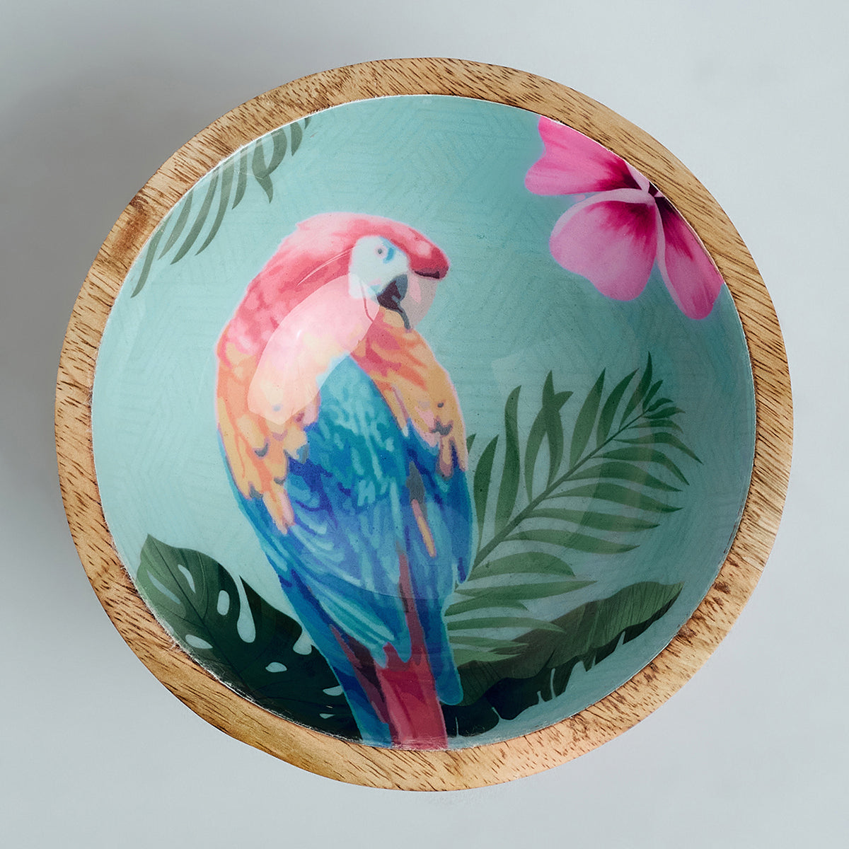 CARTER NUT BOWL SET